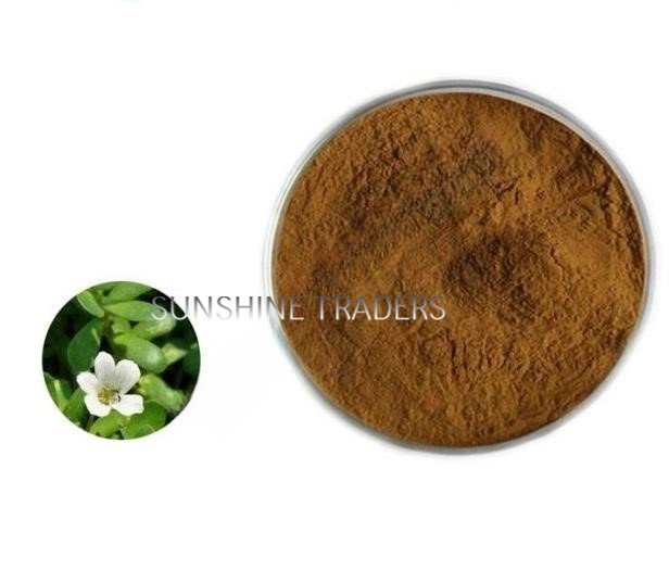 Bacopa Monnieri Extract