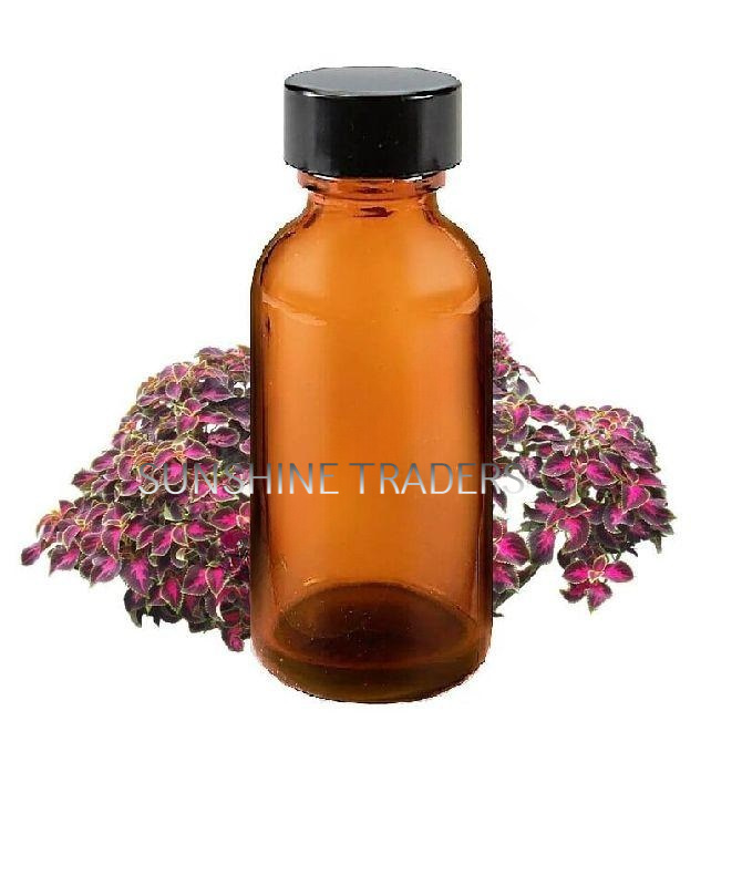 Coleus Oil