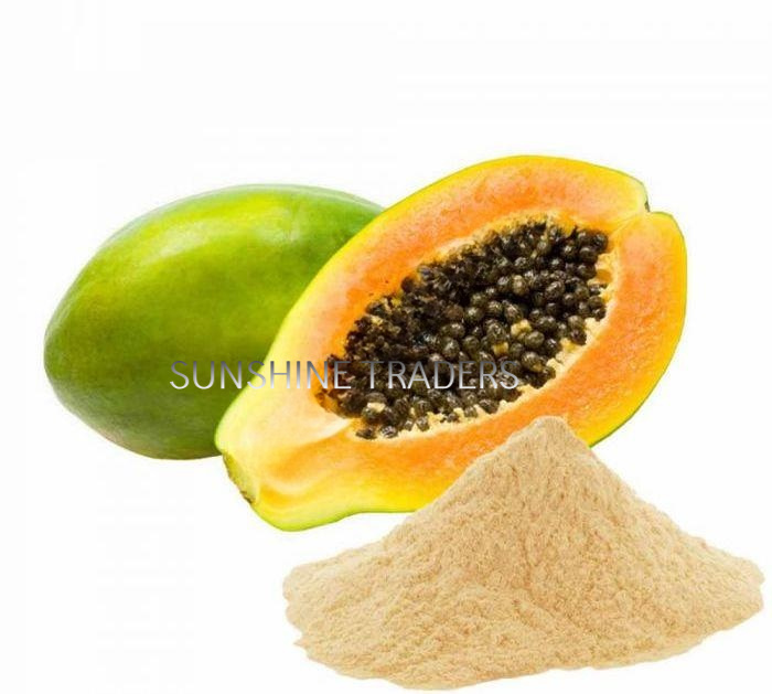 Papaya Powder