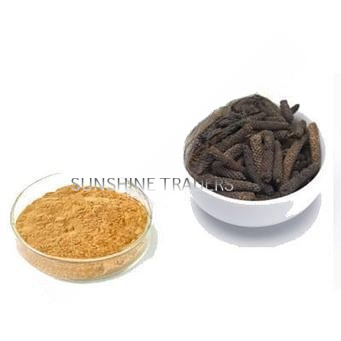 Piper Longum Extract