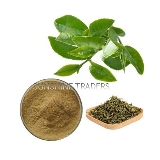 Camellia Sinensis Extract