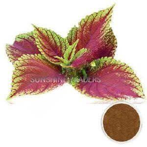 Coleus Forskolin Extract