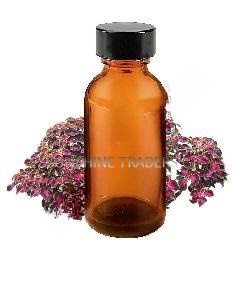 Coleus Oil