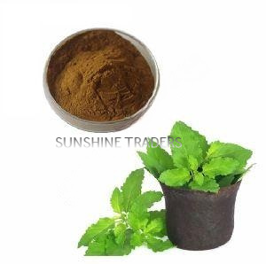 Ocimum Sanctum Extract