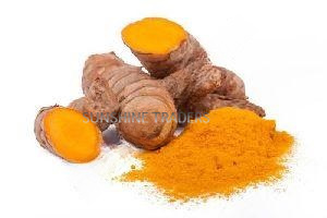 Turmeric Extract
